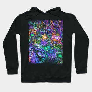 Fairyland Hoodie